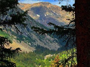 157 Goldfinch Pl, Alma, CO 80420