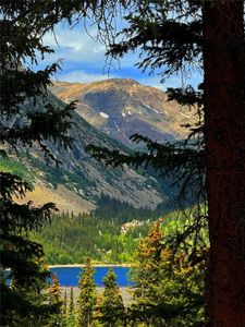 157 Goldfinch Pl, Alma, CO, 80420