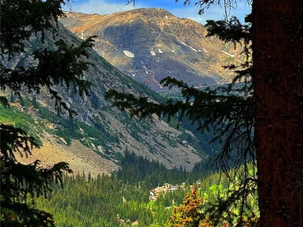 157 Goldfinch Pl, Alma, CO 80420