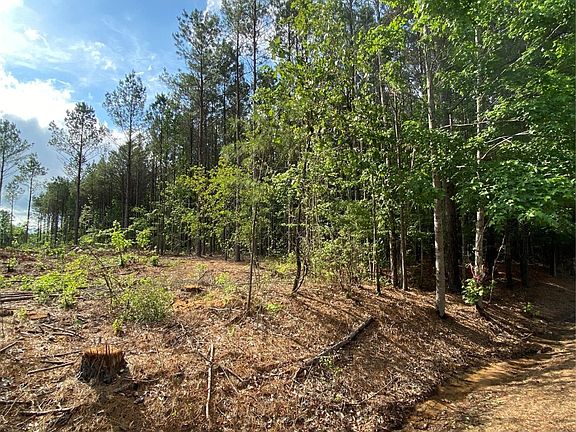 4th image of 0 Old Plain Dealing Rd