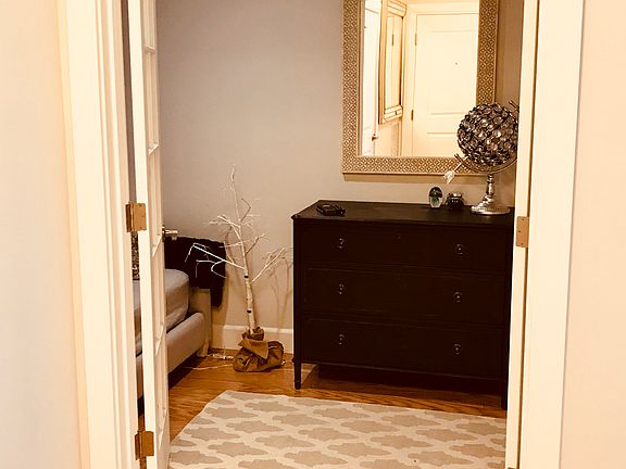den entry