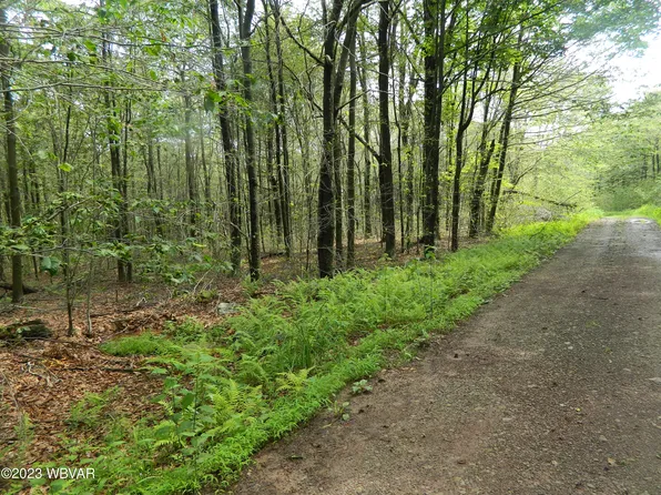 PARCEL 7 Wapiti Way Lot 15, Eagles Mere, PA 17731