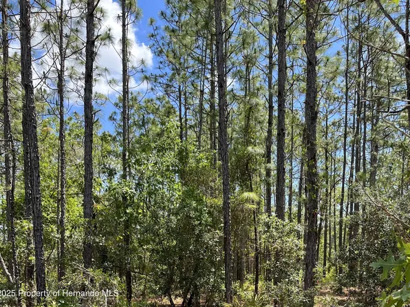 0 Celeste {lot6} Ave, Brooksville, FL 34614