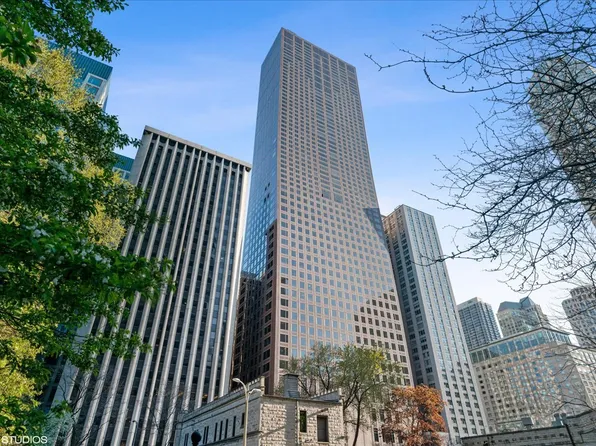 161 E Chicago Ave APT 33C, Chicago, IL 60611