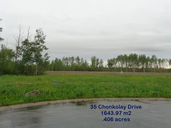 35 Chonkolay Dr, High Level, AB T0H 1Z0