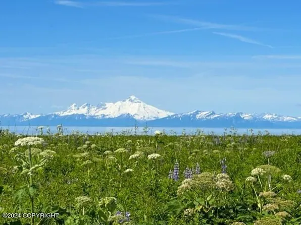 17426 Tidal Knoll Rd, Ninilchik, AK 99639