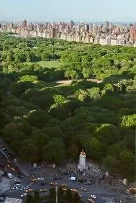 Rented by Bond New York | media 1
