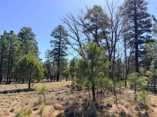 1755 Sugar Pine Dr, Happy Jack, AZ 86024