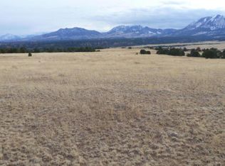 Colorado Land And Grazing LOT 55, Gardner, CO 81040