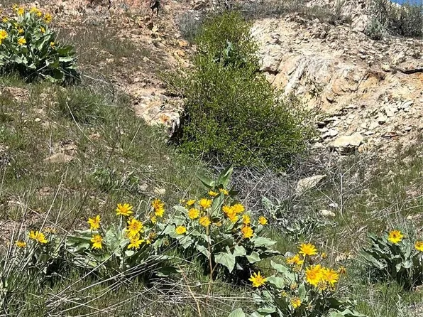 Nna Soap Lake Rd, Malott, WA 98829