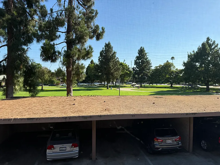 View from your dining room window