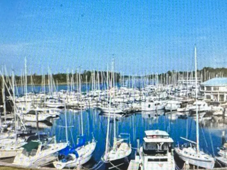 6225 Harbourside Dr — Photo 13
