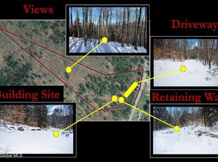 L11231 Valentine Pond Rd, Brant Lake, NY 12815