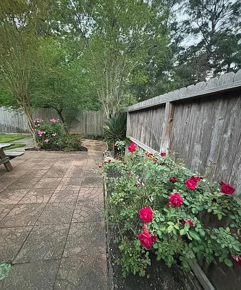 20715 Louetta Oak Dr — Photo 5
