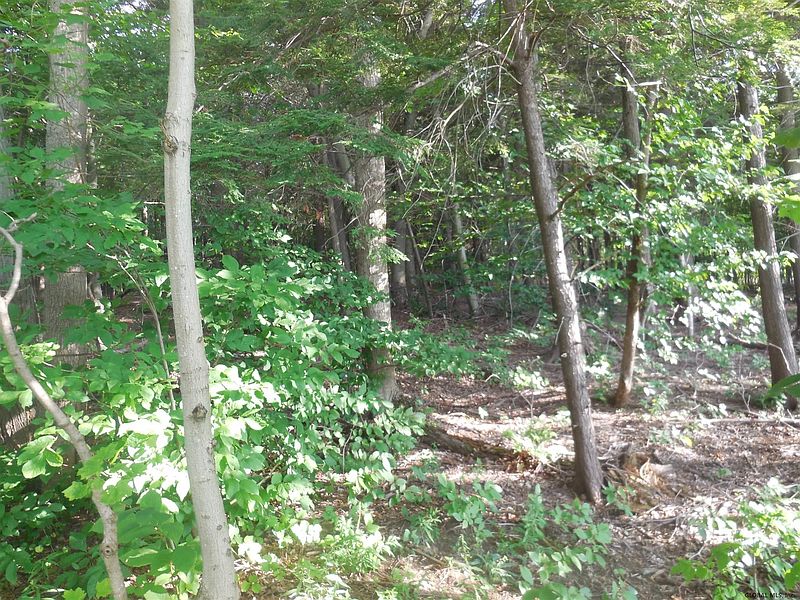 4th image of WILLIE ONEIL Road