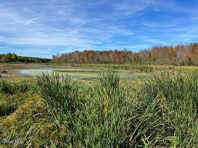 1st image of L27 Duanesburg Road