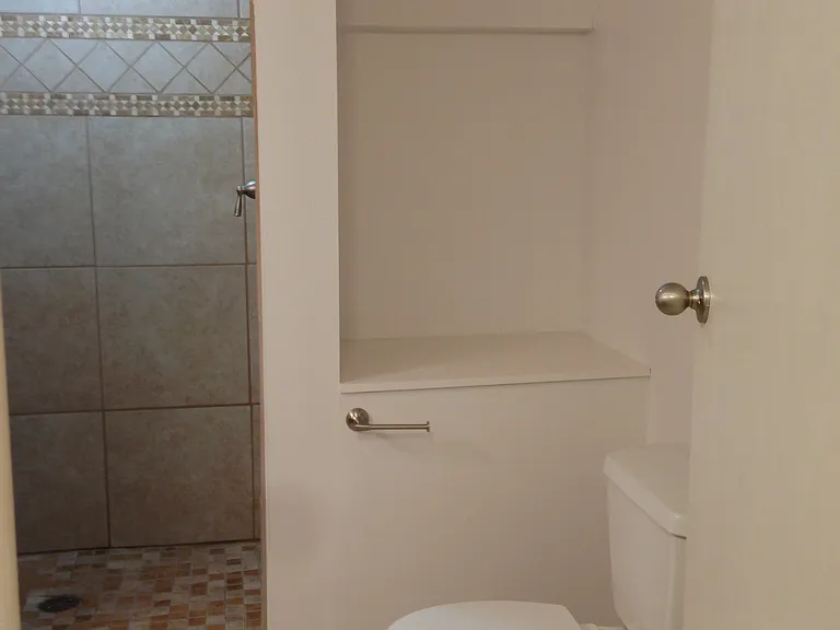 basement bathroom