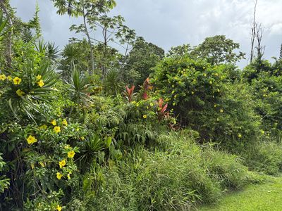 Akule St Lot 143, Pahoa, HI, 96778