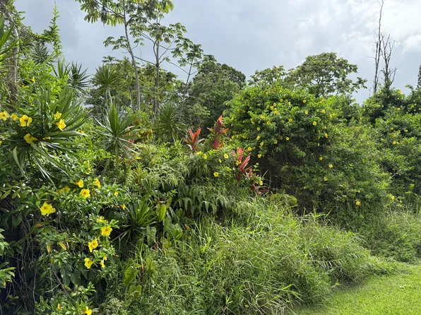 Akule St Lot 143, Pahoa, HI 96778