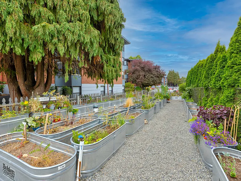 Lock Vista Community Garden Plots