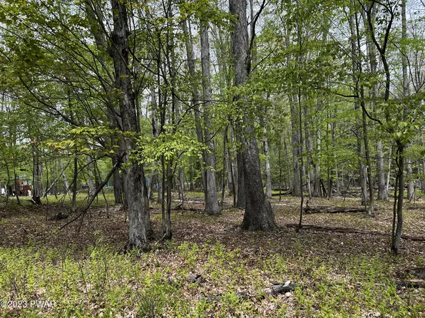 LOT 539 Paper Birch N, Tafton, PA 18464