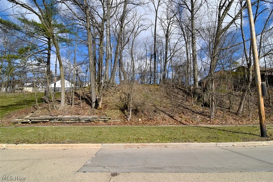 Meadowbrook Blvd photo 1