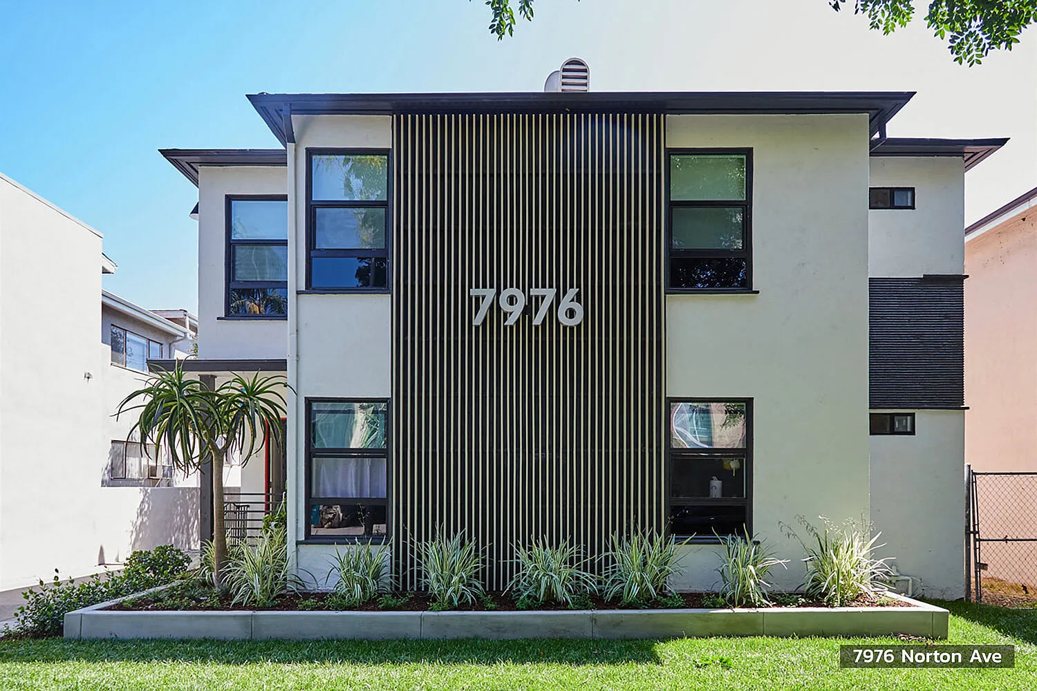Nora on Norton — Photo 2