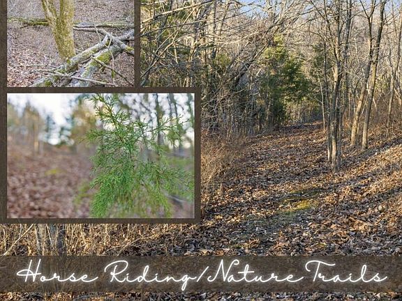 4th image of 893 Hidden Springs Lane