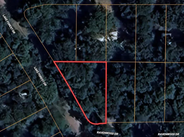 17098 Ravenwood Dr, Flint, TX 75762