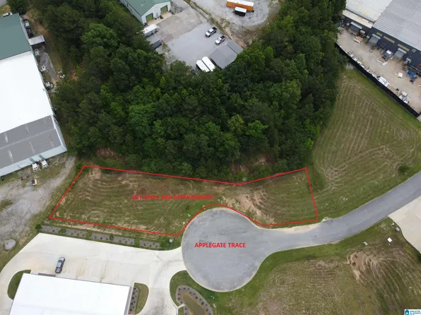 250 Applegate Ln #12, Pelham, AL 35124