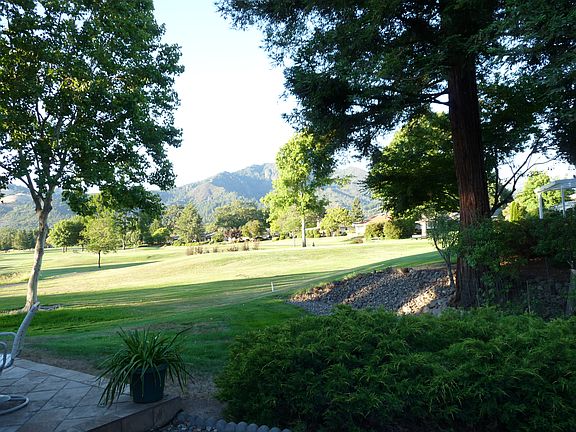 View from Back Porch
