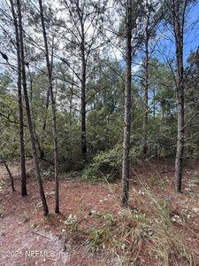 00 BANANA Avenue, Welaka, FL, 32193