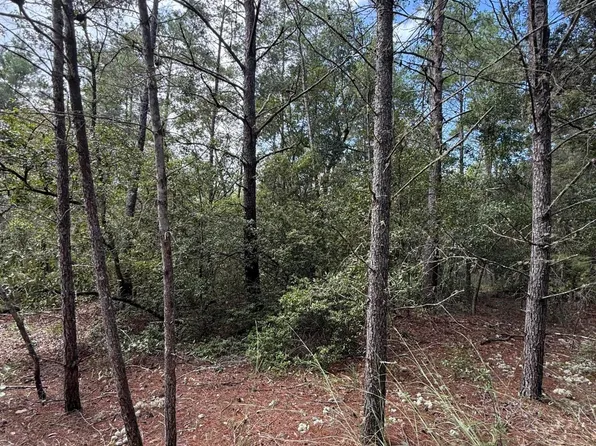 00 BANANA Avenue, Welaka, FL 32193