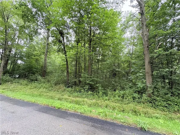 Bon Air Ave NE, Alliance, OH 44601