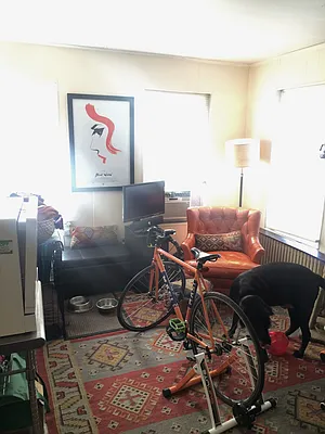 Rented by Realty Collective | media 51