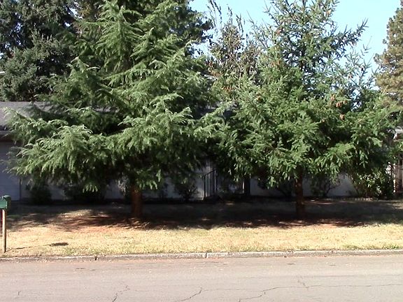 2nd image of 312 SE 157th Ave
