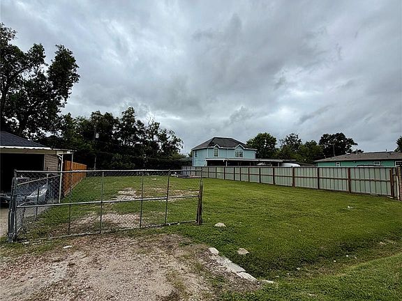 3rd image of Grapevine