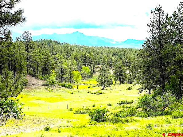 Lot 32 Esmt X Piney Place, Pagosa Springs, CO 81147