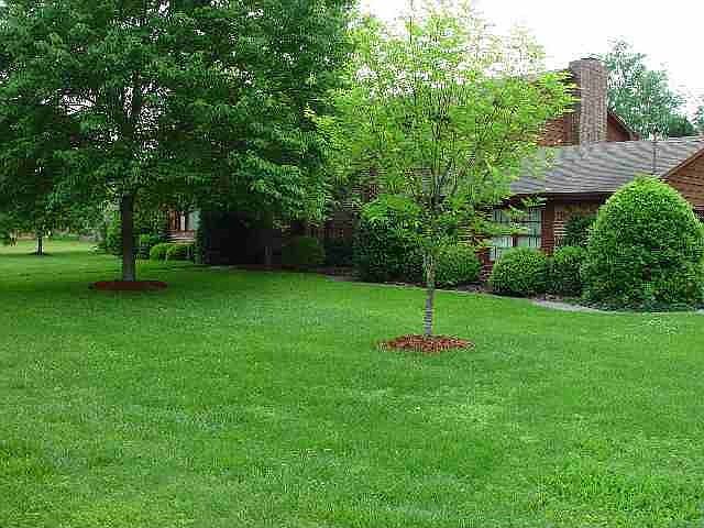 2nd image of 310 Springhill Dr NE