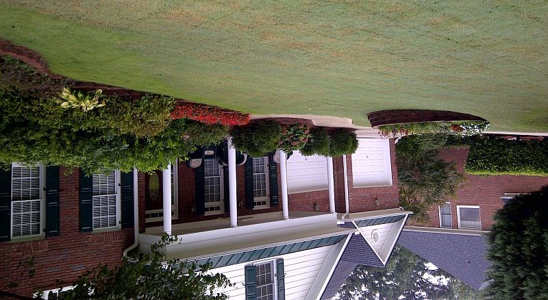 Front yard
