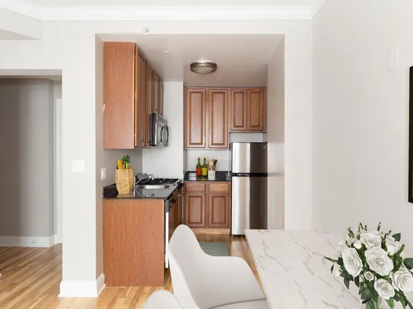 211 E. Delaware, 211 E Delaware Pl #Dab16a34e, Chicago, IL 60611