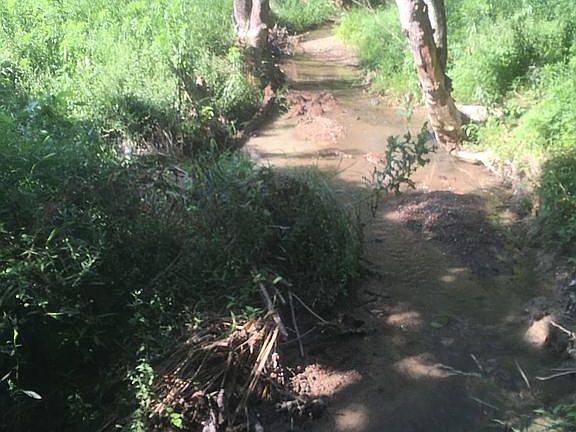 4th image of PARCEL 23.19 Old Parrottsville Hwy