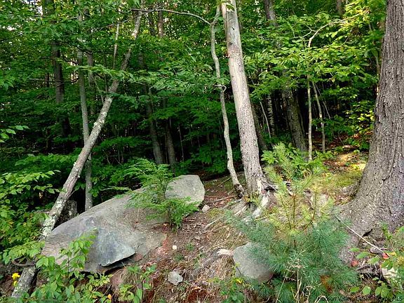 2nd image of Stony Clove Ln