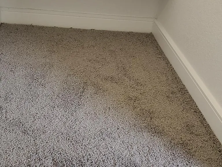 3036 Alcannon St #3036 — Photo 19