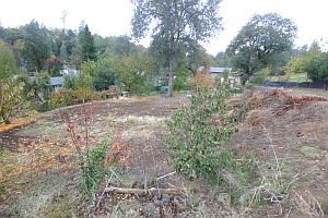 4th image of 4625 Deer Creek Ave