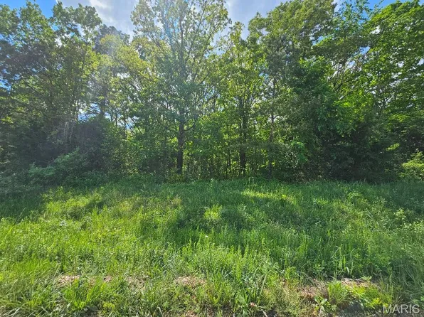 0 Carter Rte E #239, Ellsinore, MO 63937