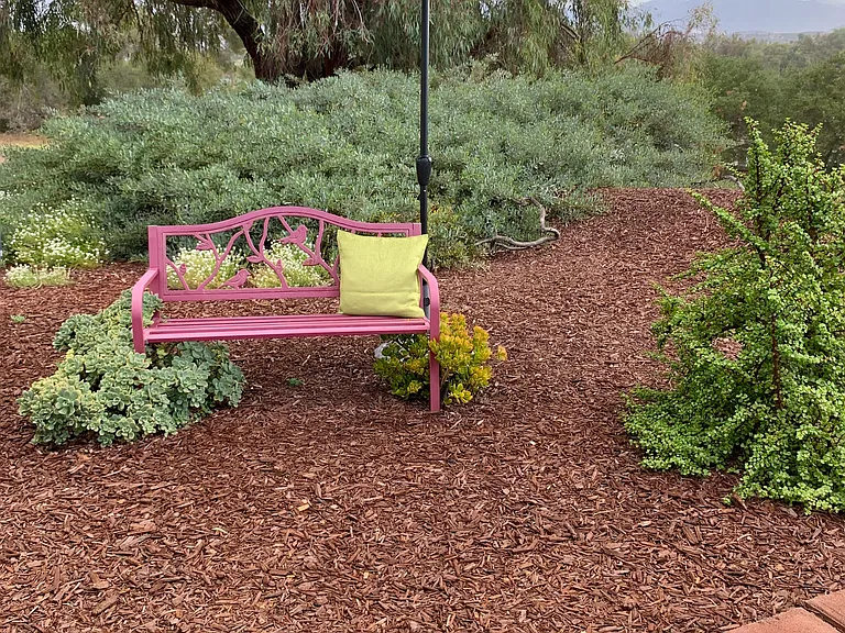 Backyard garden