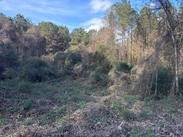 0 Jones Rd, Foxworth, MS 39483