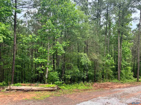 7451 Scenic Hwy, Gadsden, AL 35904