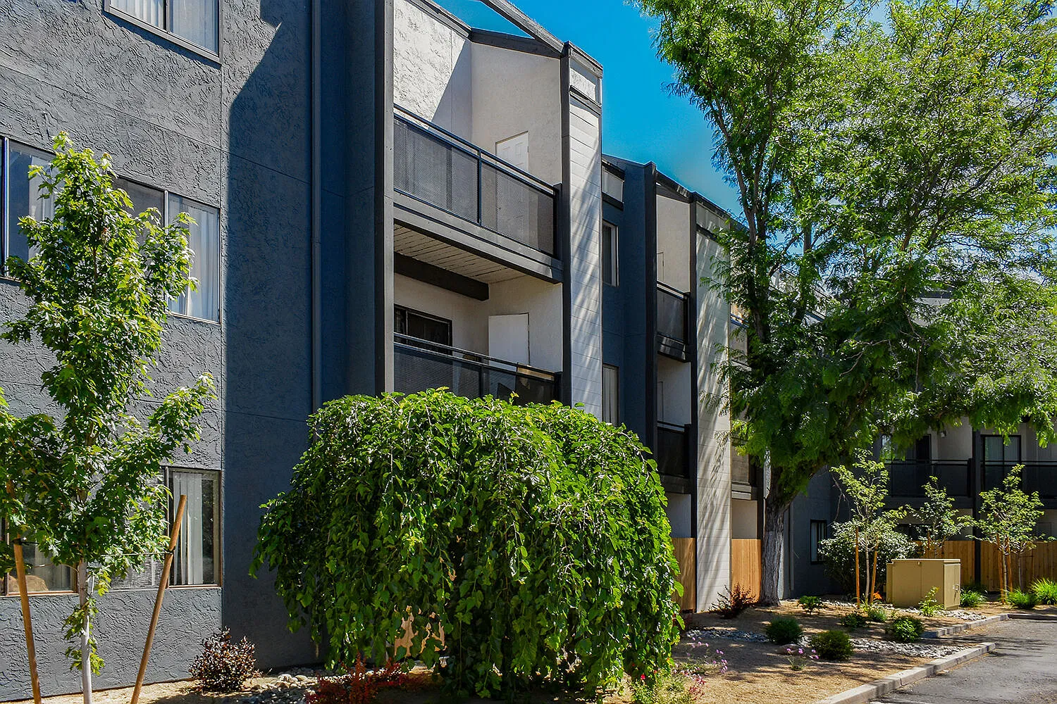 WateringWinds Apartments — Photo 3